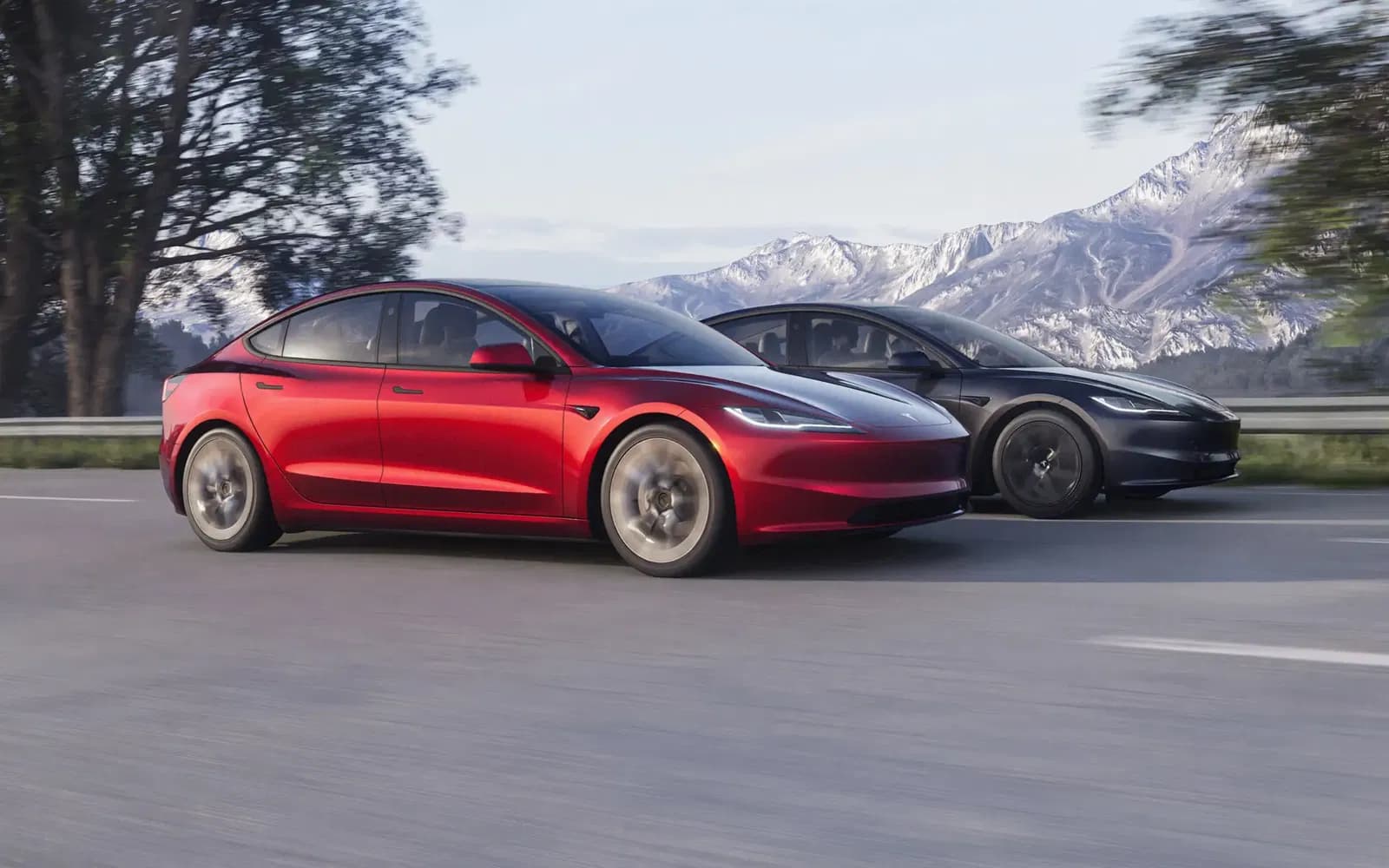 Fact Check: Tesla's sales have plummeted for five consecutive months.