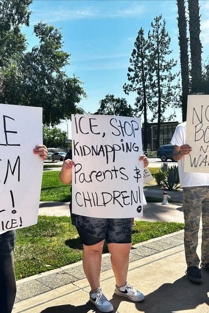 Fact Check: Eyewitnesses denounce ICE actions as extra-judicial kidnappings.