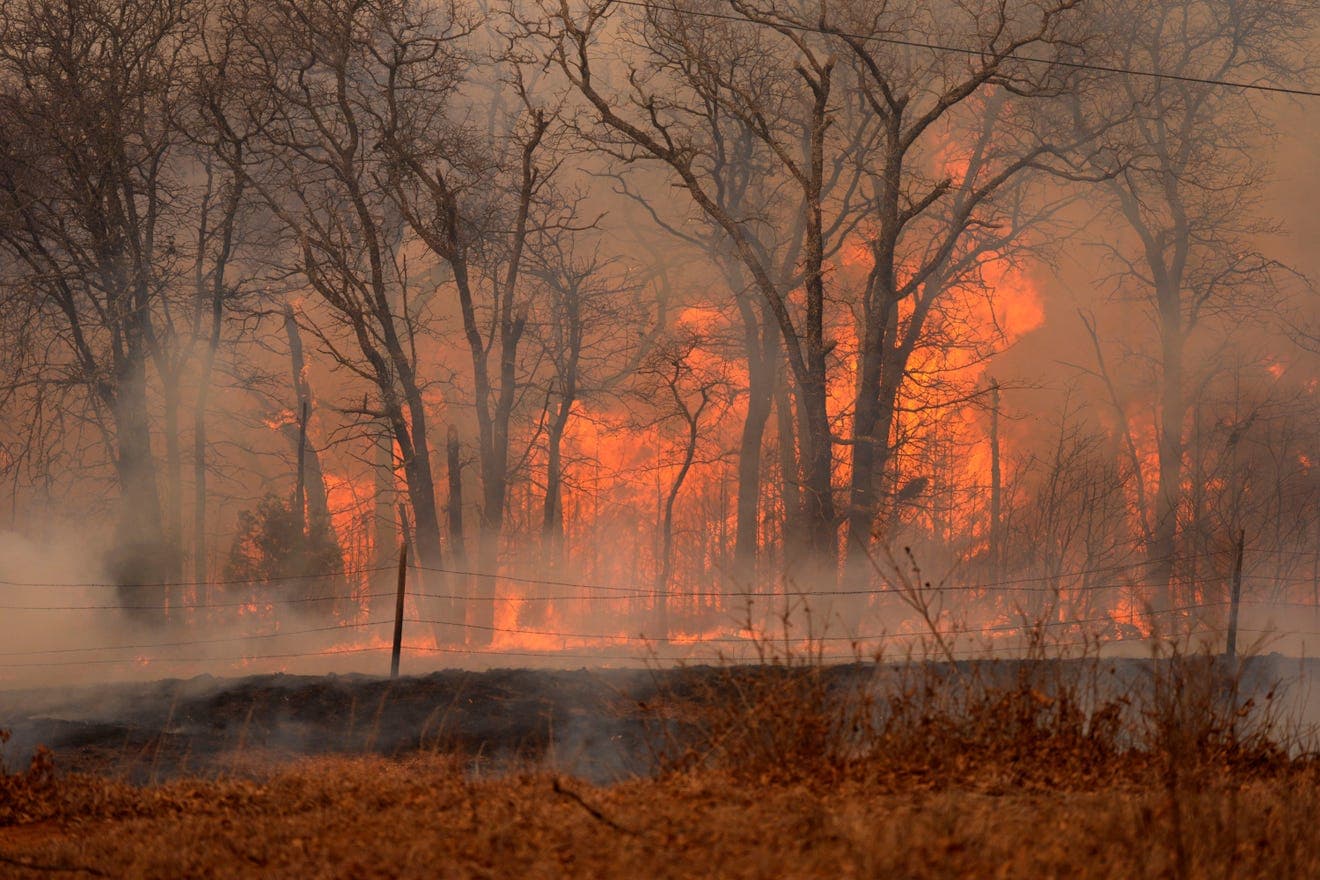 Fact Check: Oklahoma wildfires destroyed thousands of acres and killed several people.