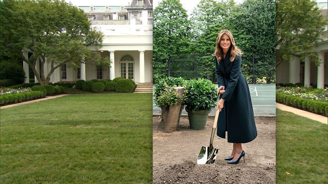 Fact Check: Crockett labels Melania Trump a 'cut-rate model'.