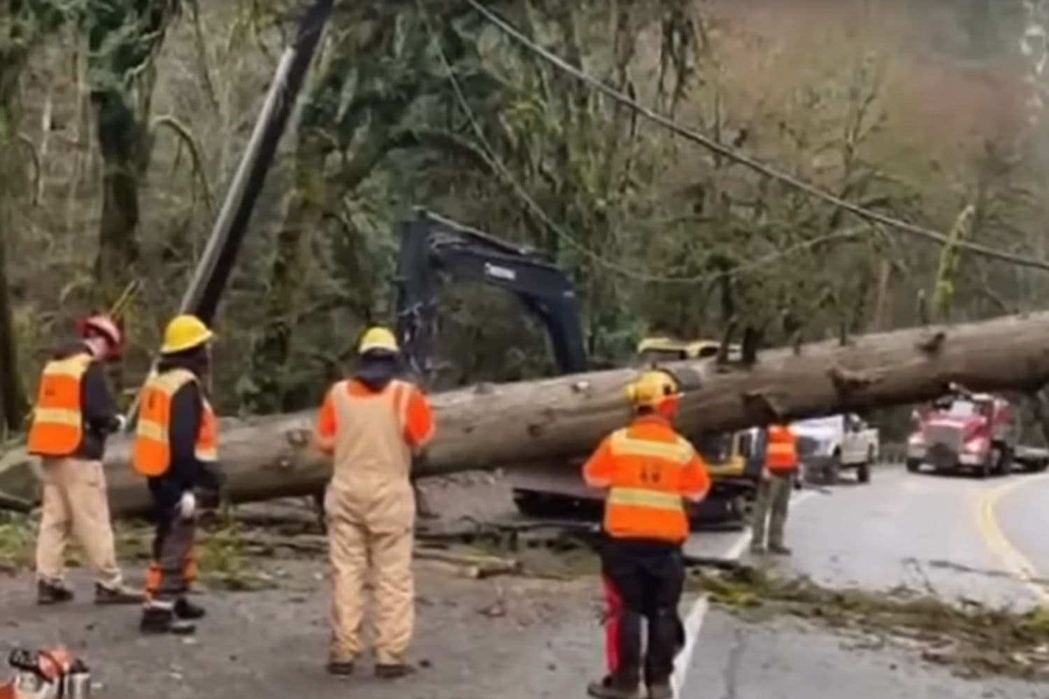 Fact Check: Washington state requested over $30 million in disaster aid after a bomb cyclone.