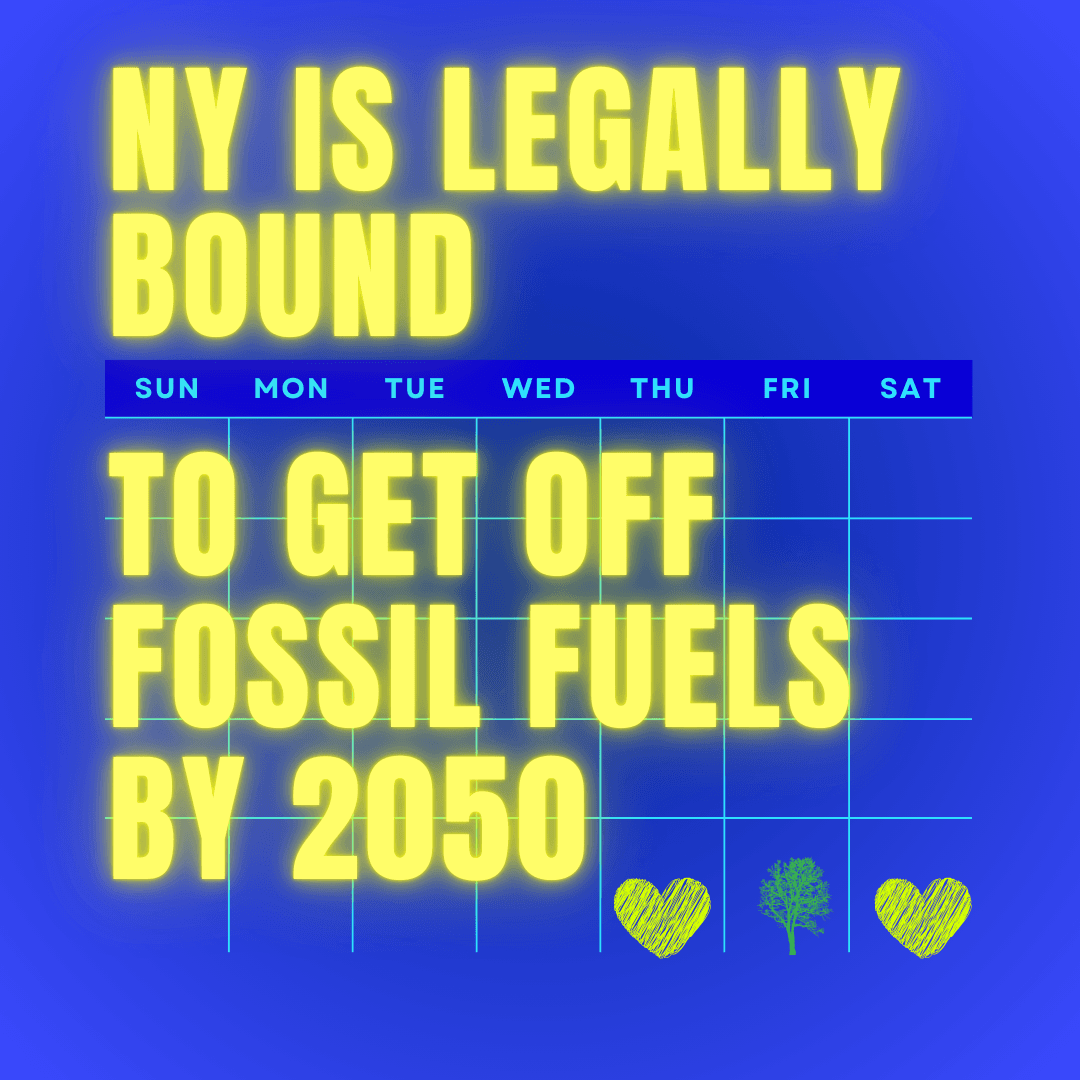 Fact Check: Australia faces accusations of hypocrisy for backing fossil fuels while seeking climate leadership.