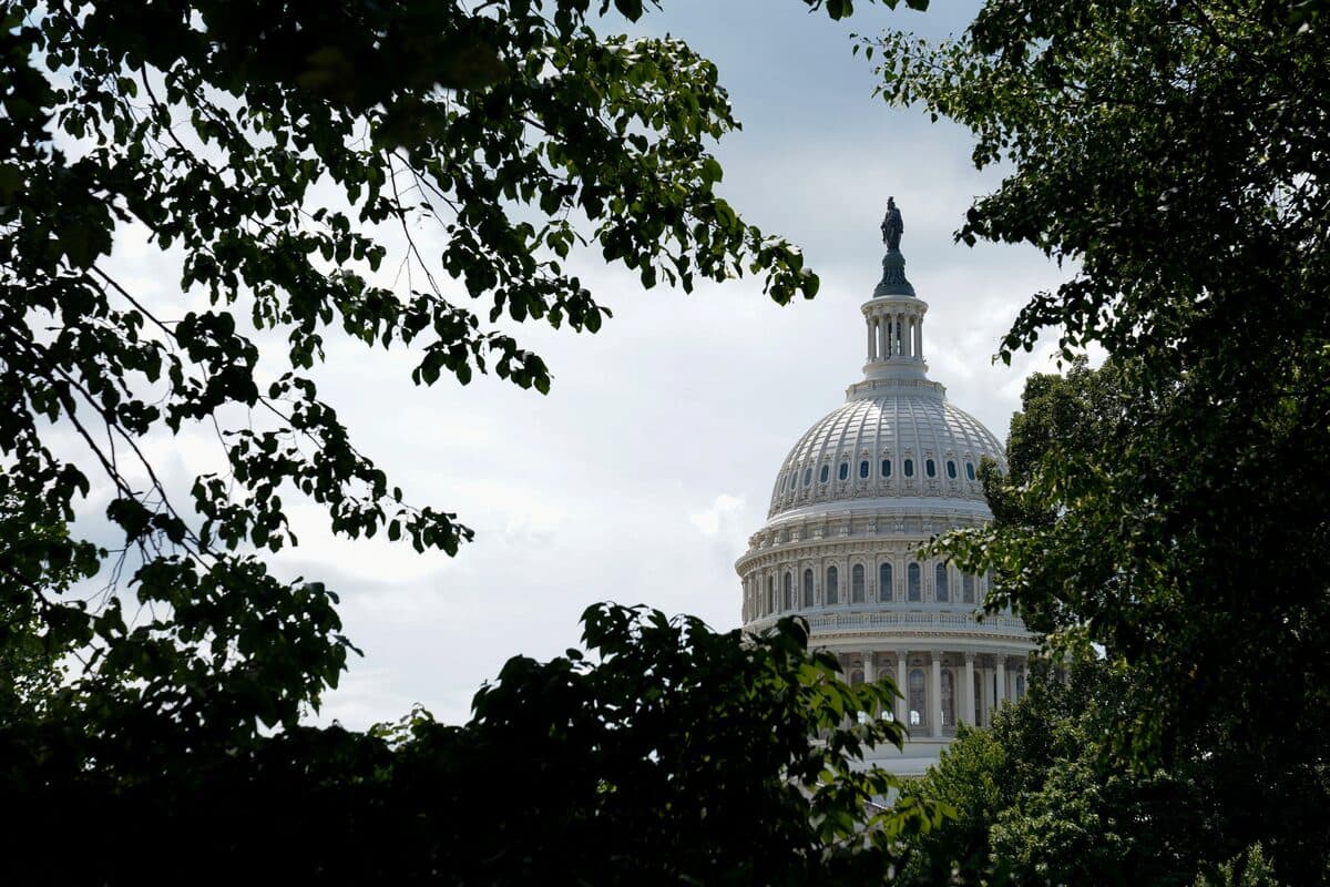 Fact Check: Trump's new energy bill promises to gut green tax credits!