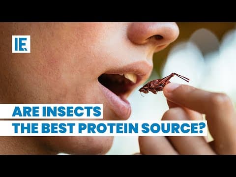 Fact Check: Eating insects is unlikely to replace traditional meat options.