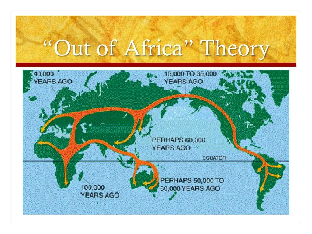 Fact Check: is the theory that all humans originate from africa still the main consensus
