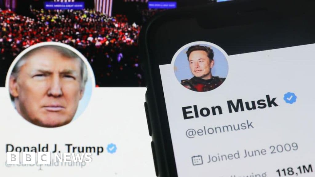 Fact Check: Trump blames Musk for losing EV subsidies!