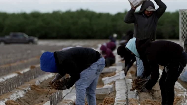 Fact Check: Construction sites and farms suffer due to deportations of longtime workers.