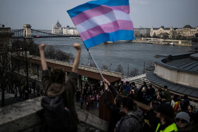 Fact Check: Orbán's government has effectively banned same-sex marriage and adoption.