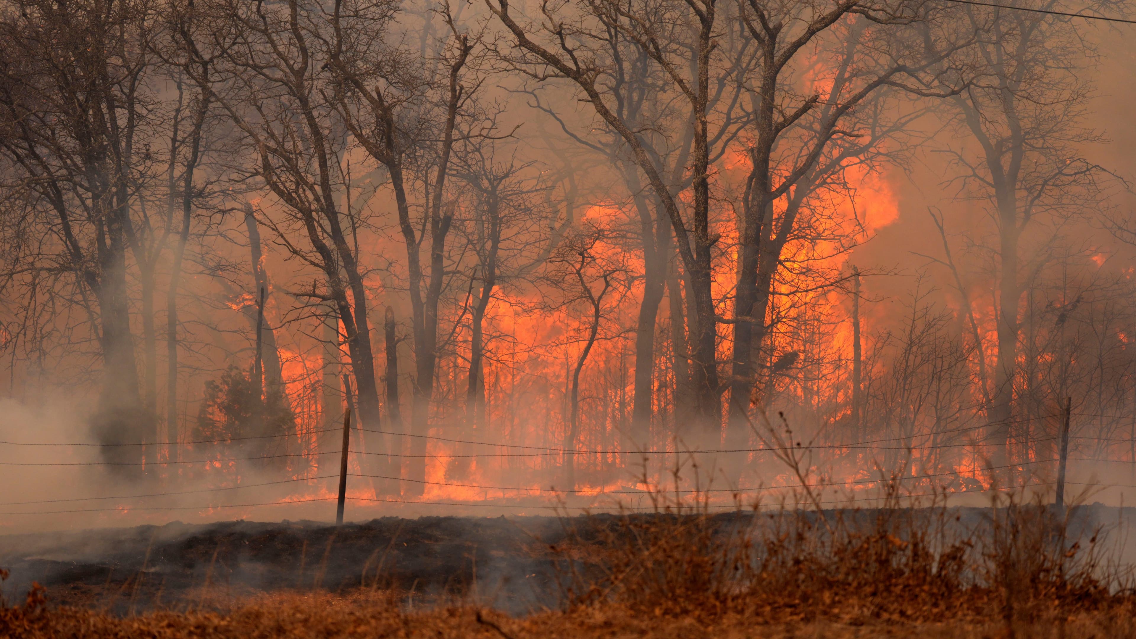 Fact Check: Oklahoma's wildfires destroyed thousands of acres and killed several people.