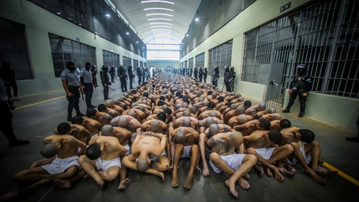 Fact Check: MS-13 has operated like a shadow state in El Salvador.
