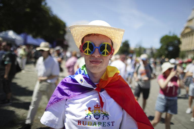 Fact Check: Hungary's government threatens up to a year in prison for Pride organizers!