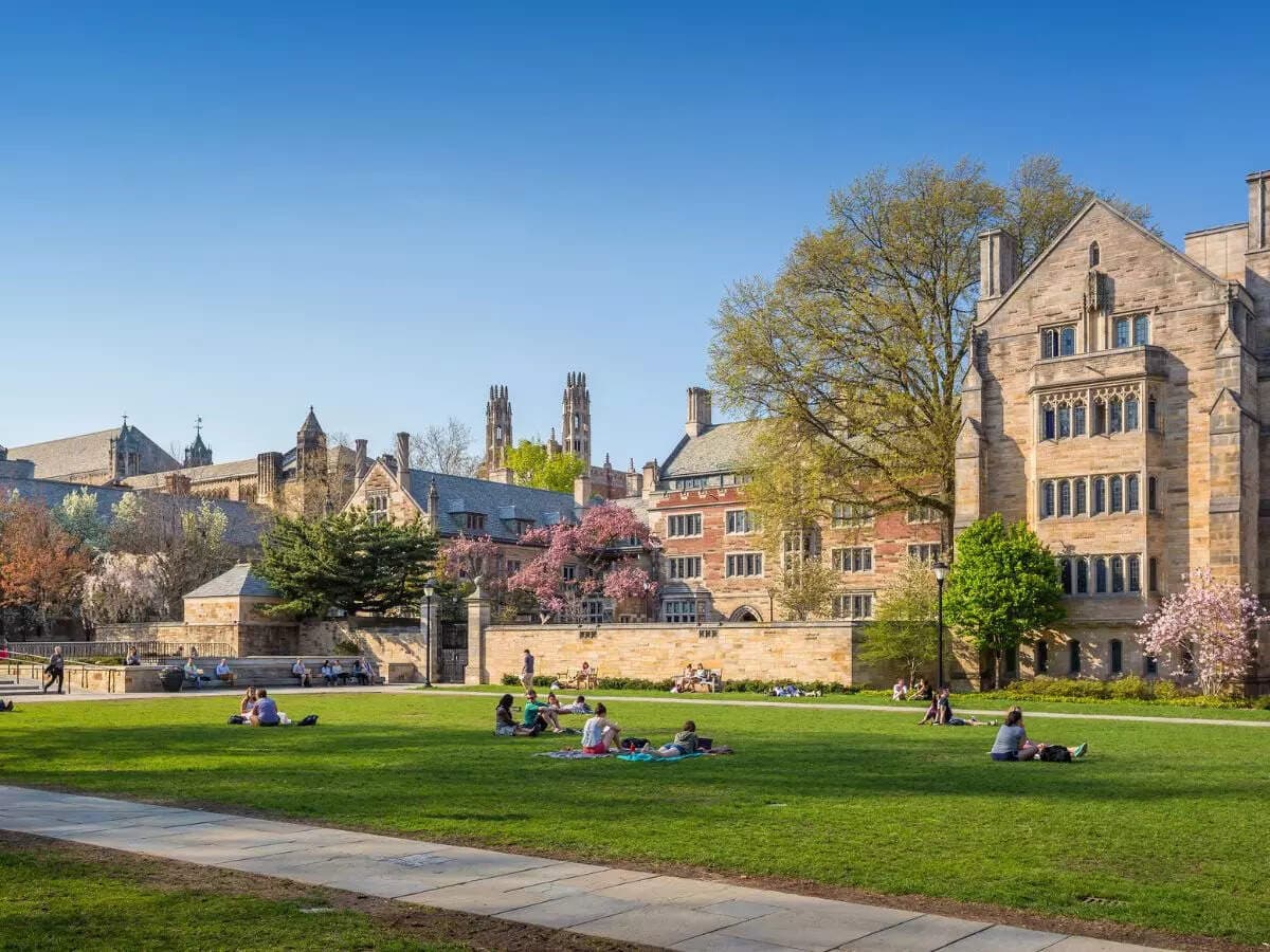 Fact Check: Yale professors flee to Canada, warning of America's democratic emergency.