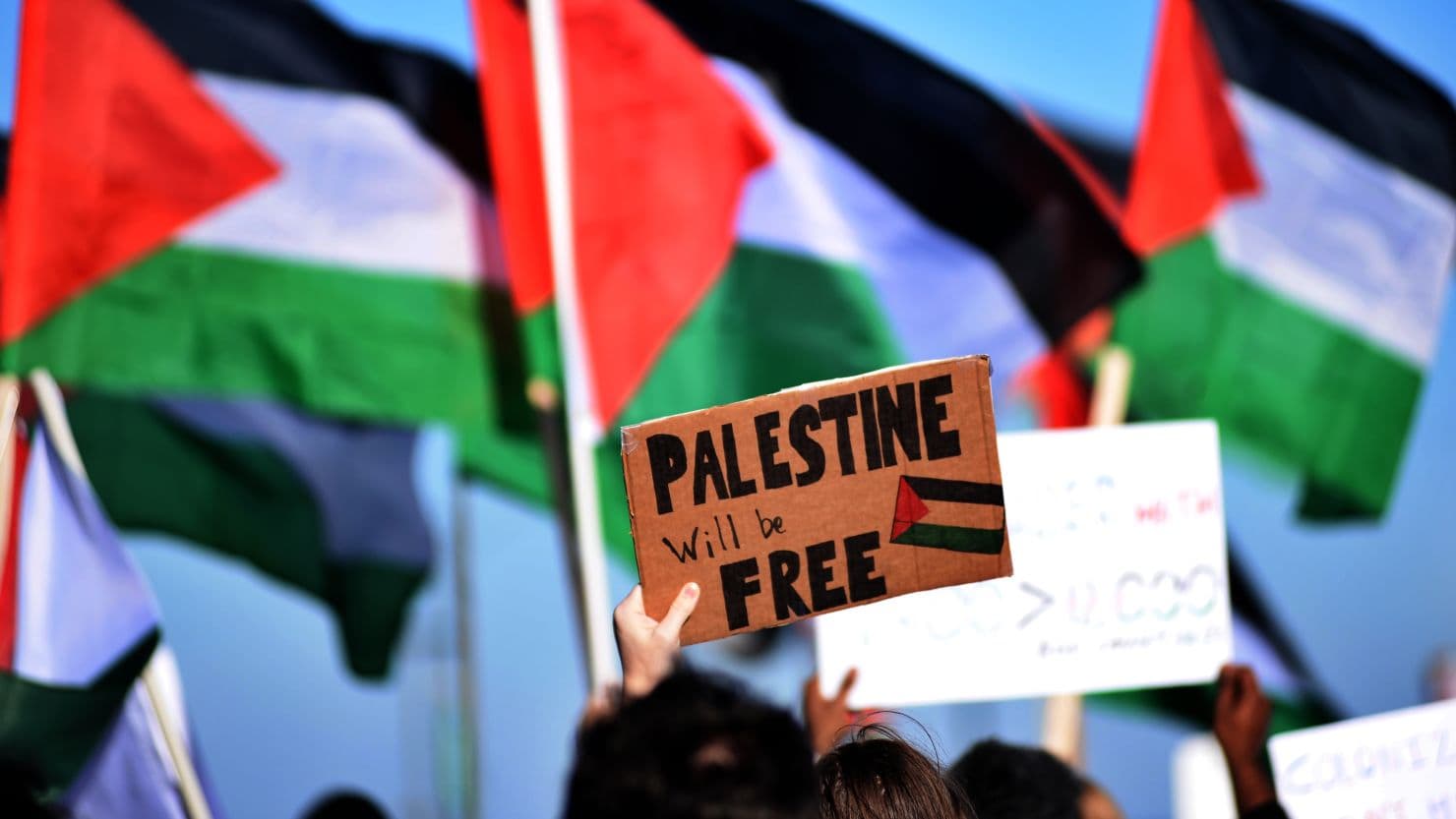 Fact Check: Pro-Palestine activists are unwittingly supporting Iran's propaganda.
