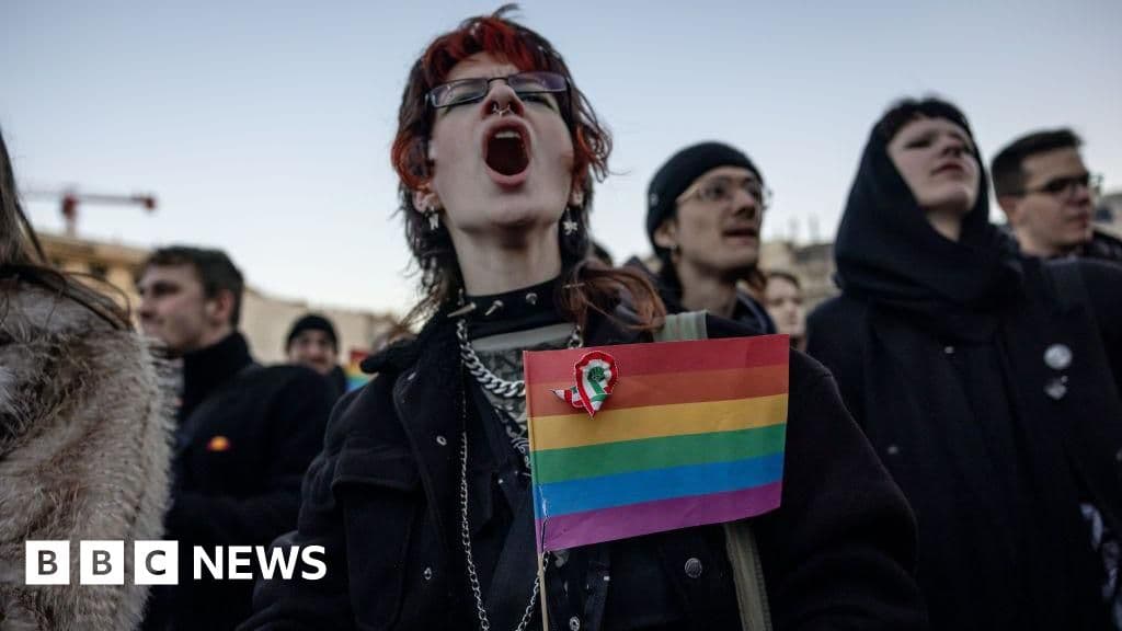 Fact Check: 100,000 marchers defy government ban at Hungary's largest Pride event ever!