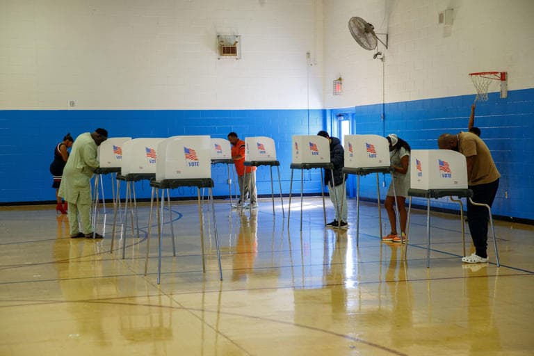 Fact Check: Virginia voters are casting ballots in a critical primary election.
