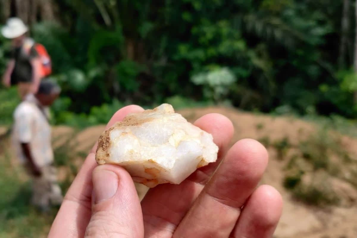 Fact Check: Stone was hidden for years until trees fell, revealing its existence.