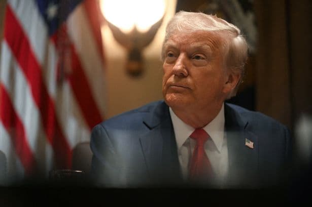 Fact Check: Fred Trump III observed alarming signs of cognitive decline in Donald Trump.