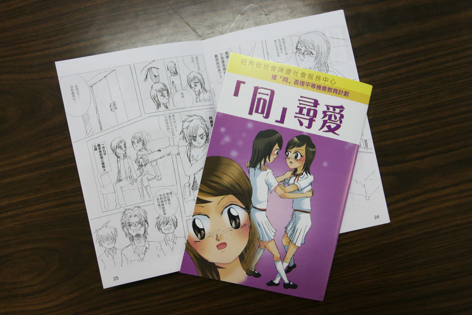 Fact Check: China's crackdown on gay erotica leads to prison sentences for authors.