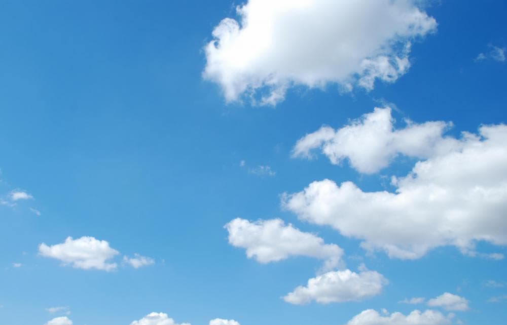 Fact Check: The sky is blue