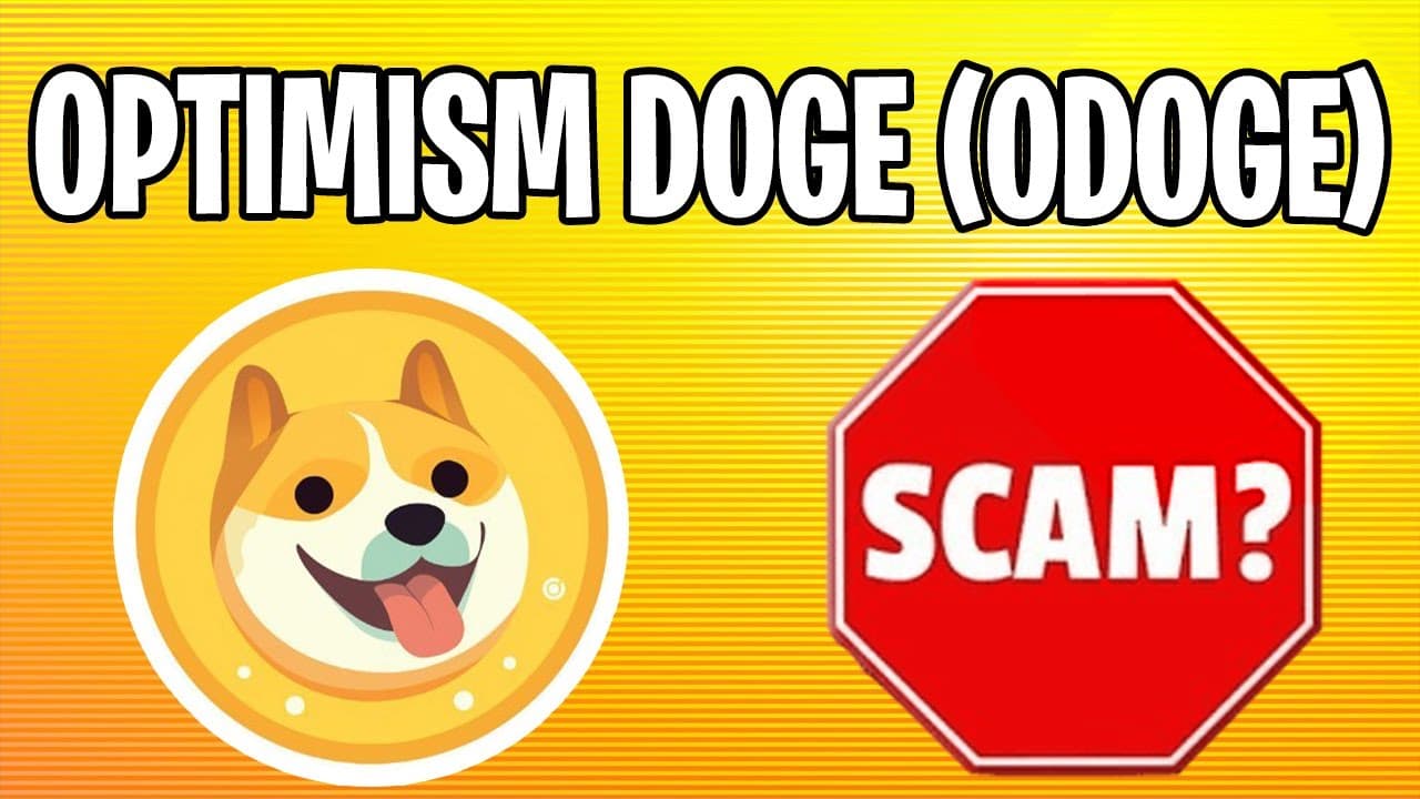Fact Check: DOGE has found millions of dollars in fraud
