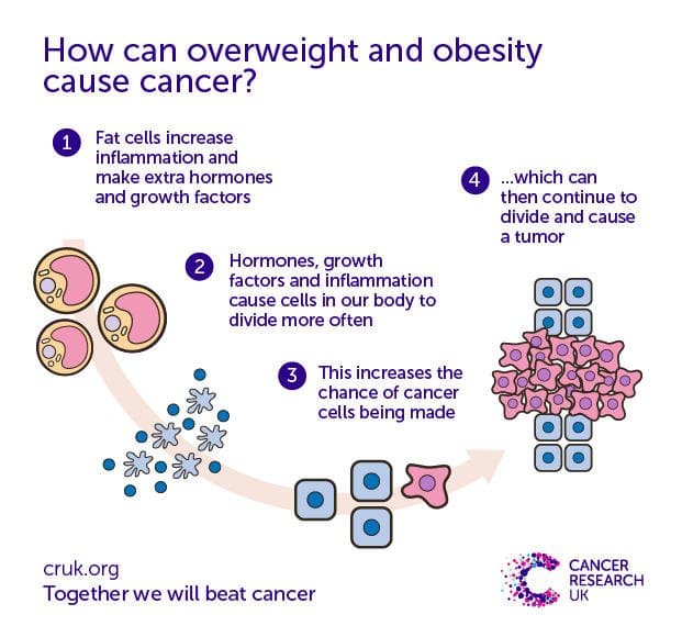 Fact Check: Sugar free alternatives cause cancer