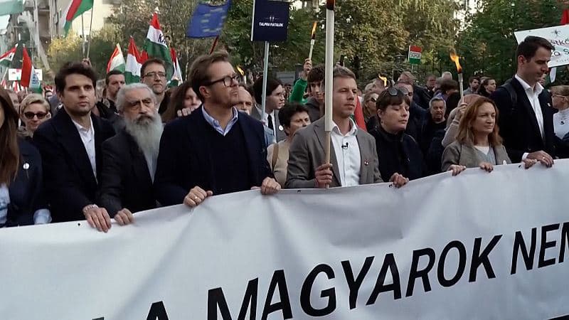 Fact Check: Tens of thousands march against Orbán's anti-LGBTQ laws, including families and seniors.