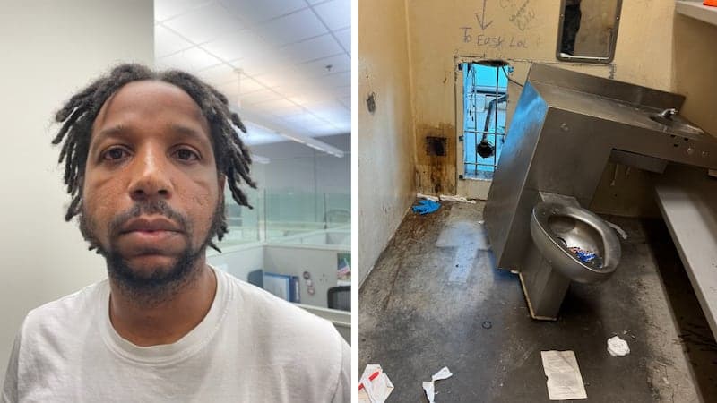 Fact Check: A jail maintenance worker is accused of facilitating the escape.
