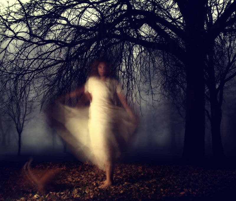 Fact Check: Ghosts are real 