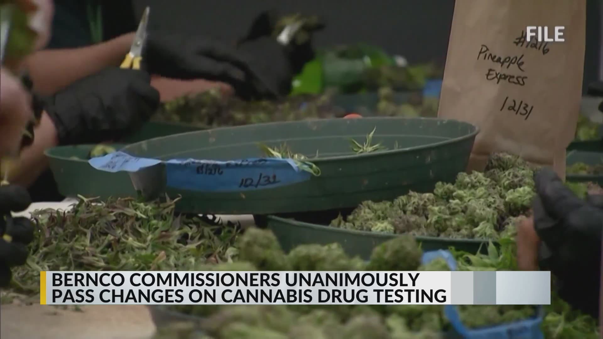 Fact Check: More than a quarter of police commissioners demand cannabis be a class A drug.