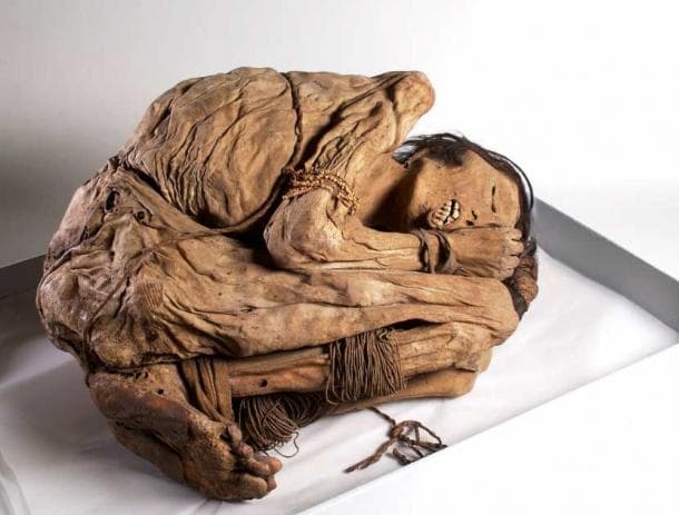 Fact Check: the peruvian tridactyl mummies have not been manipulated by the people who found them.