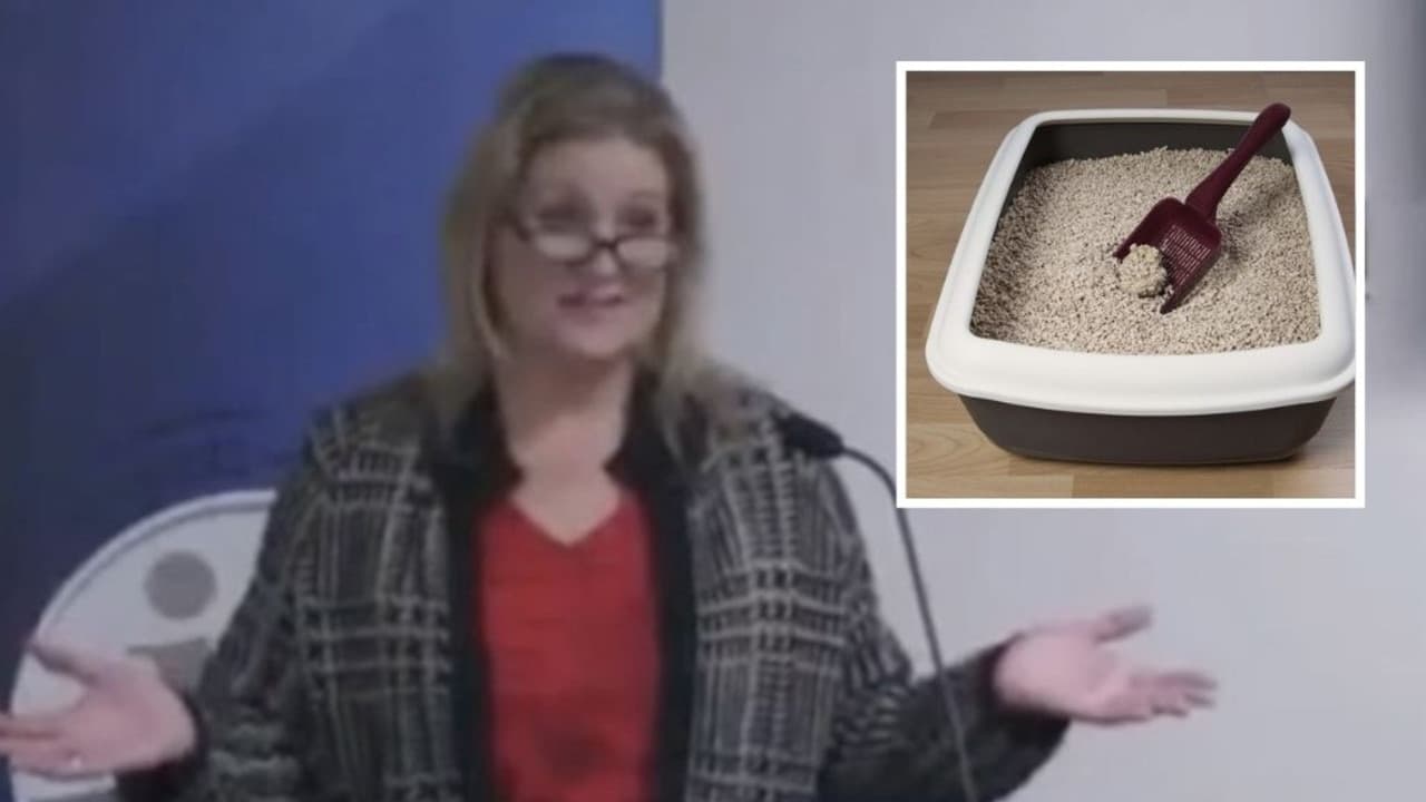 Fact Check: Children are identifying as furries and using litter boxes in classrooms.