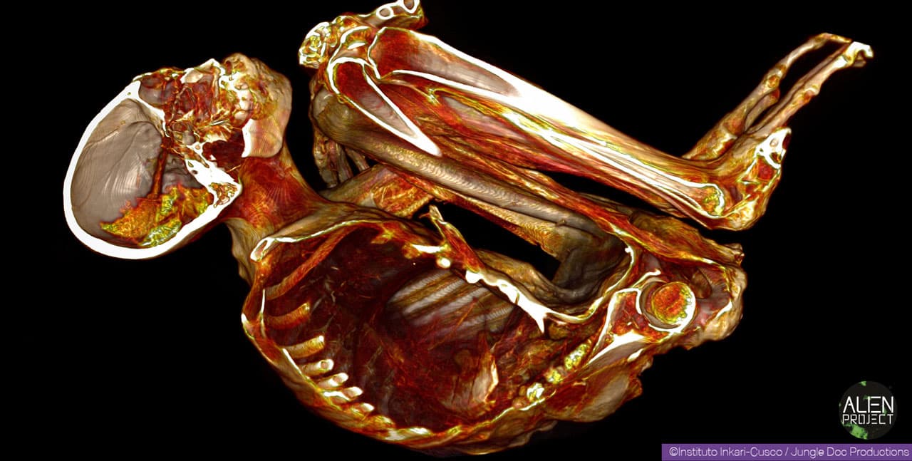 Fact Check: The tridactyl mummies named Montserrat and Santiage were not manipulated by the people who found them.