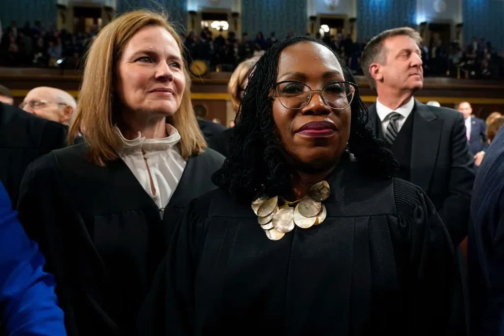 Fact Check: Barrett's opinion dismissed Jackson's dissent as a threat to the rule of law.