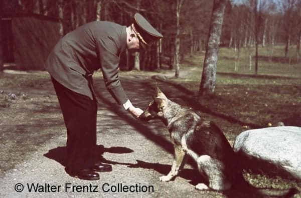 Fact Check: Hitler had a dog
