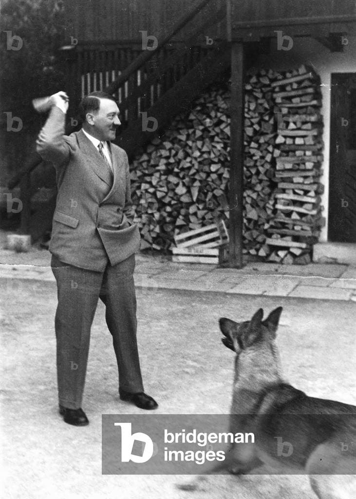 Fact Check: Hitler had a dog
