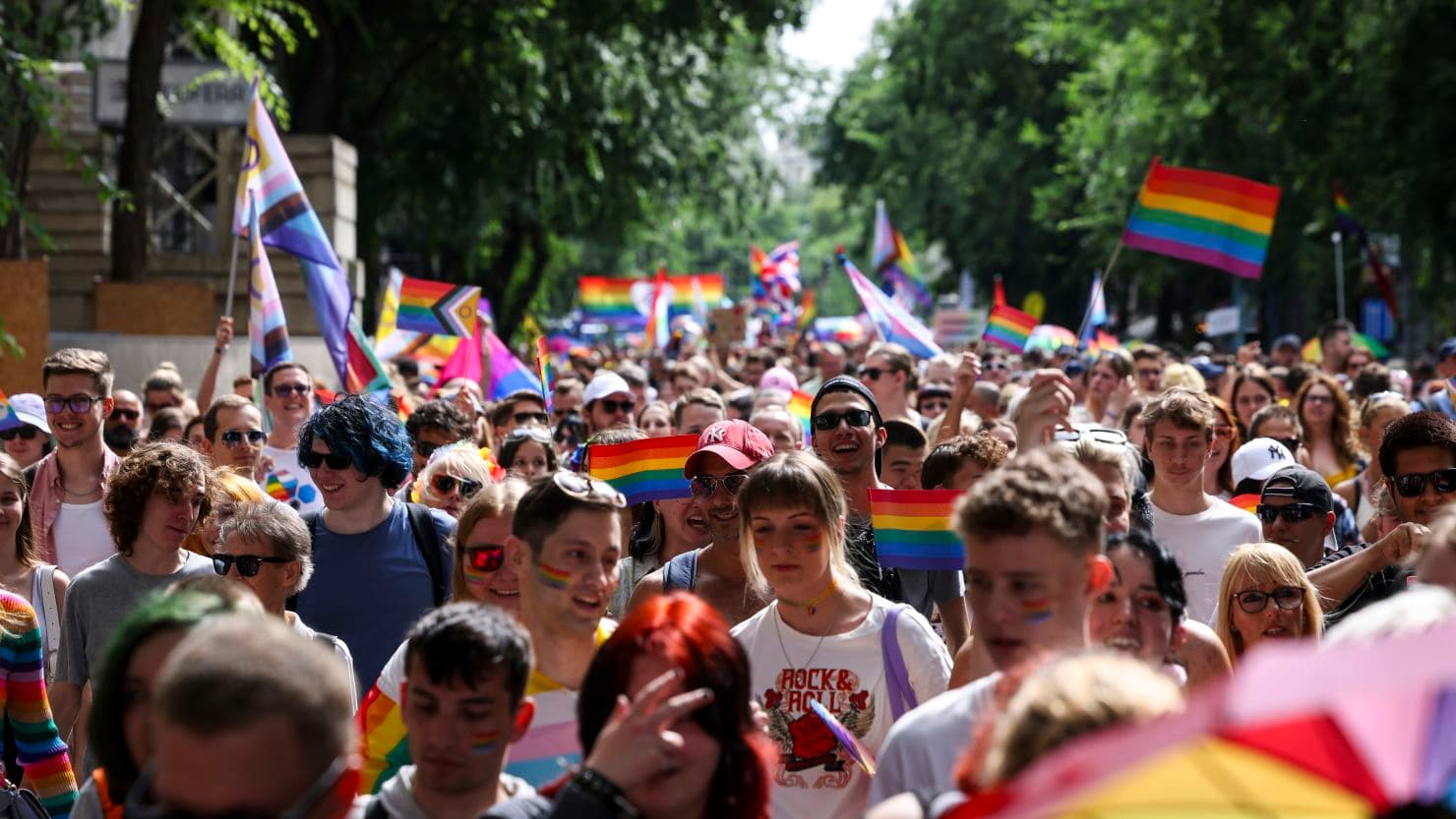 Fact Check: Pride marchers include participants from 30 different countries.