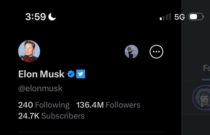 Fact Check: Does Elon musk have an alternate twitter accound