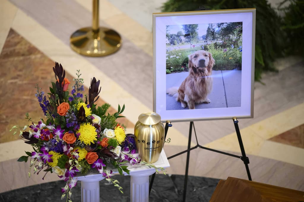 Fact Check: Hundreds paid respects to the slain couple at the Capitol.