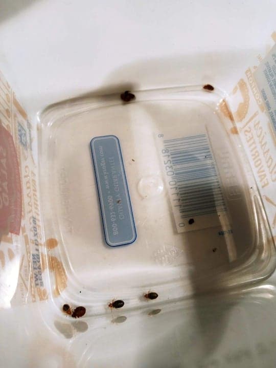 Fact Check: Bodies found stacked in a bug-infested building for years!