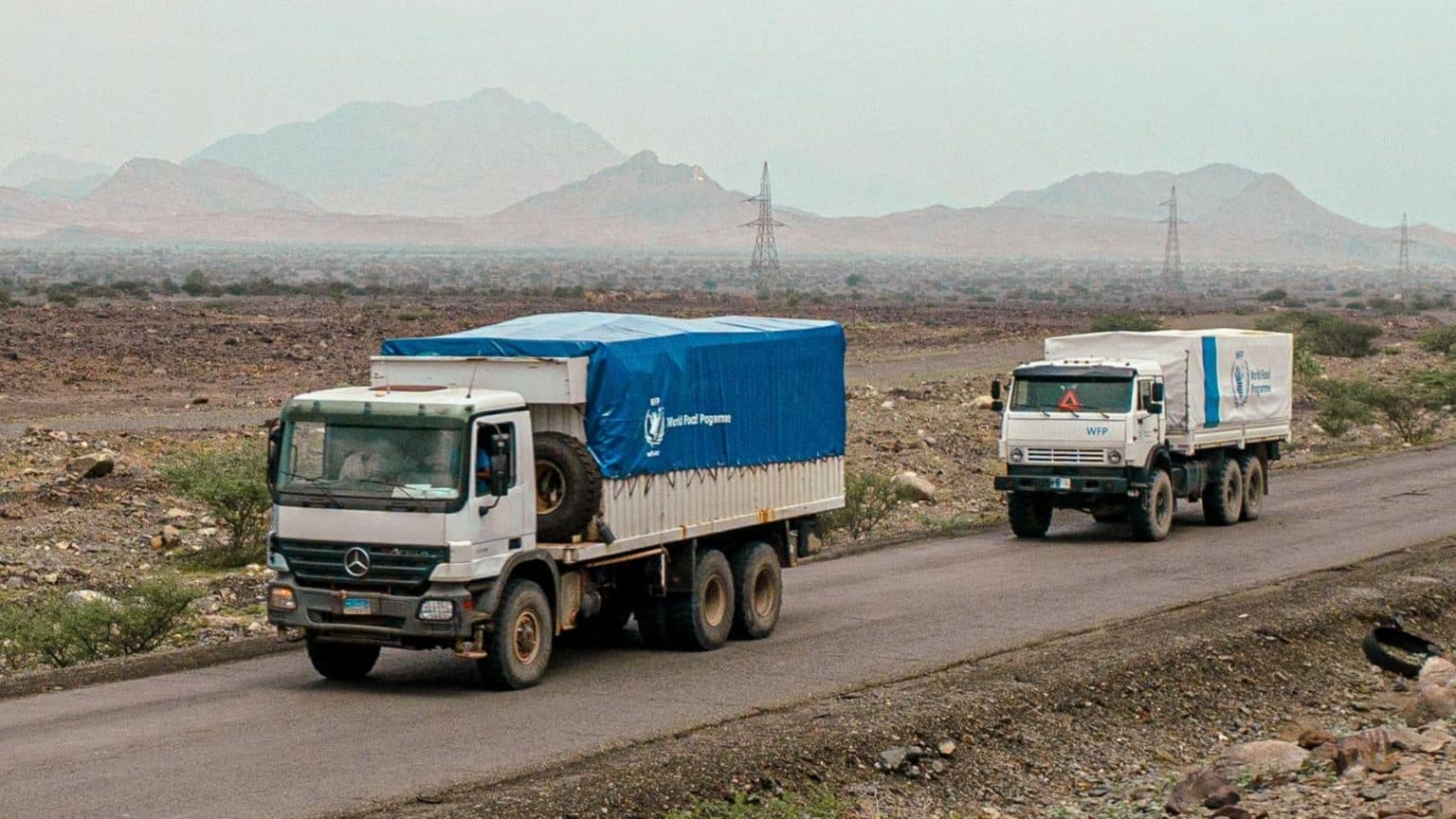 Fact Check: Food aid meets only 5% of total needs in Zamzam camp.