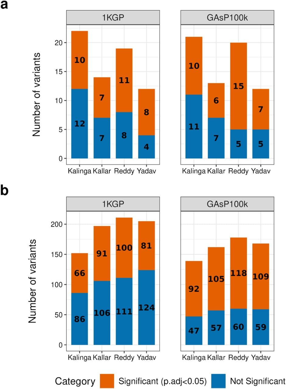 Fact Check: Endogamy in India increases risk of inheriting harmful genetic variants.