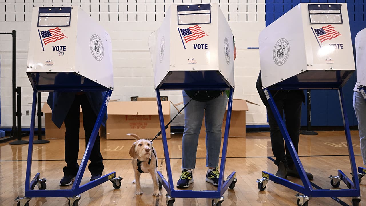 Fact Check: Trump's 2024 voter coalition is more racially diverse than in 2020.