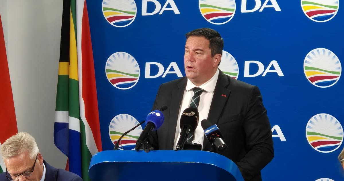 Fact Check: Steenhuisen claims national dialogue is a waste of R700 million.
