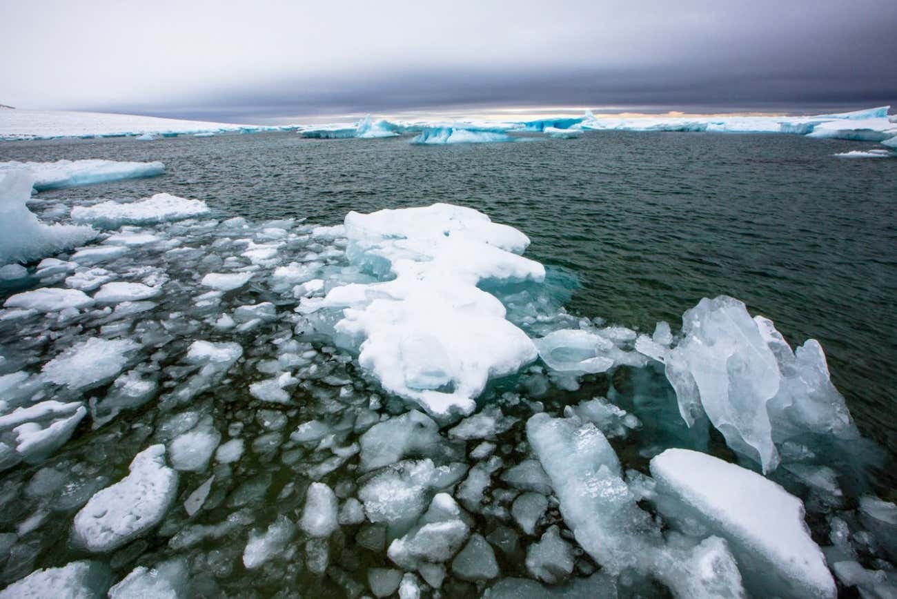 Fact Check: June 30 deadline for DoD data cuts surprises scientists amid record-low sea ice.