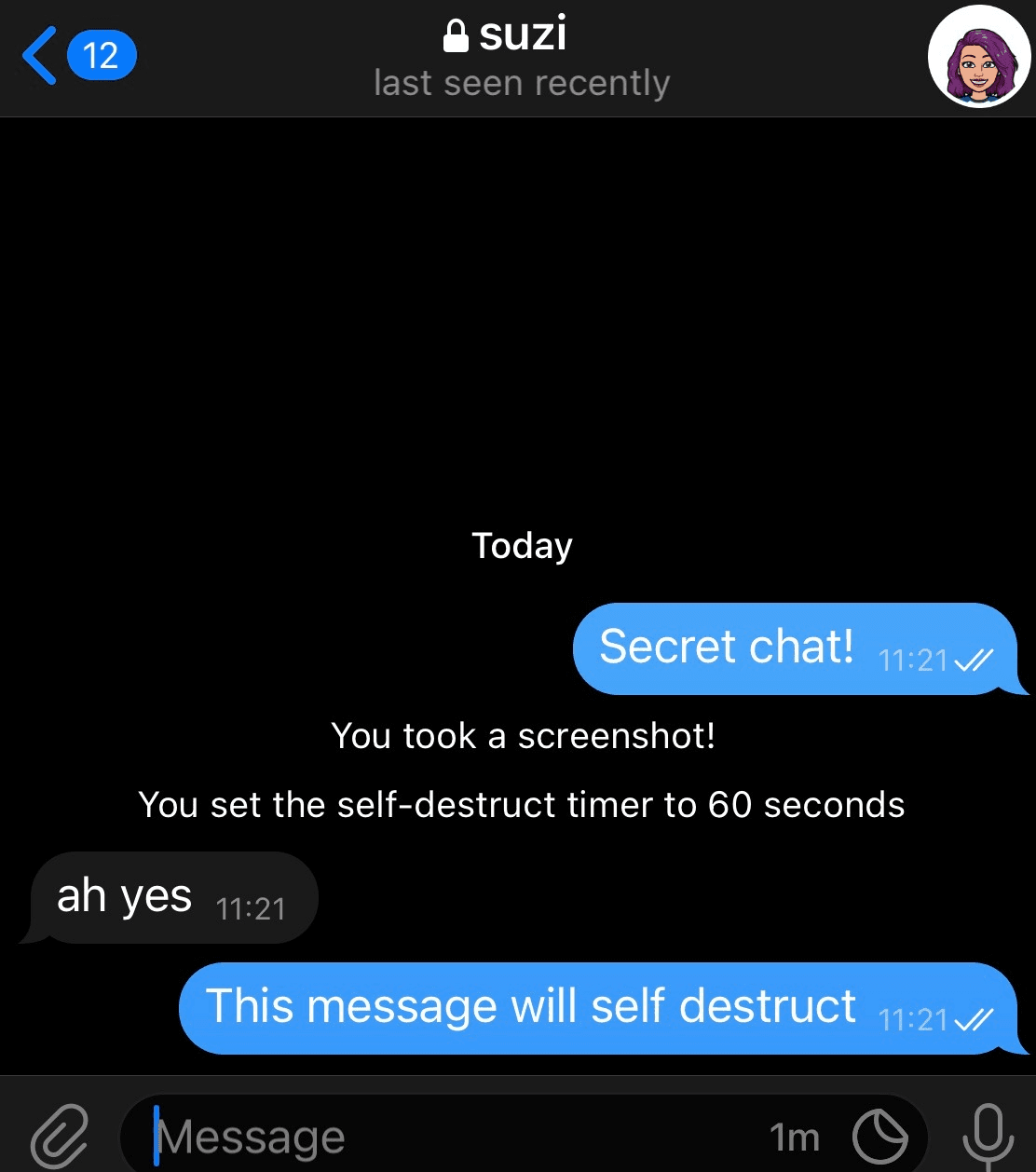 Fact Check: Signal allows messages to self-destruct, enhancing leak security.