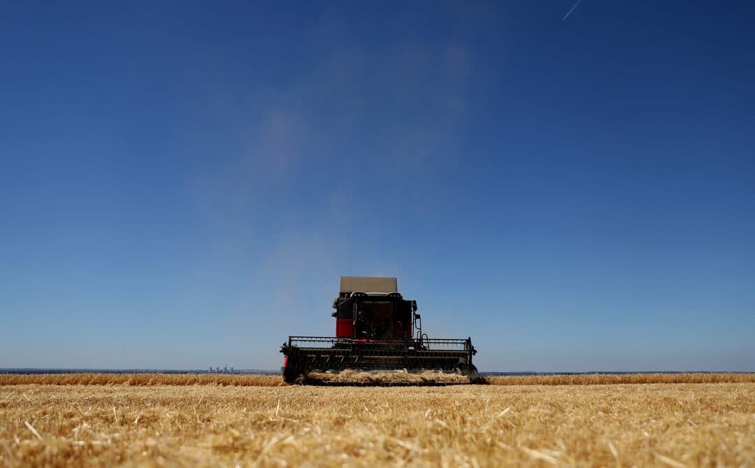 Fact Check: New trade deals undercut British farmers with cheaper imports.