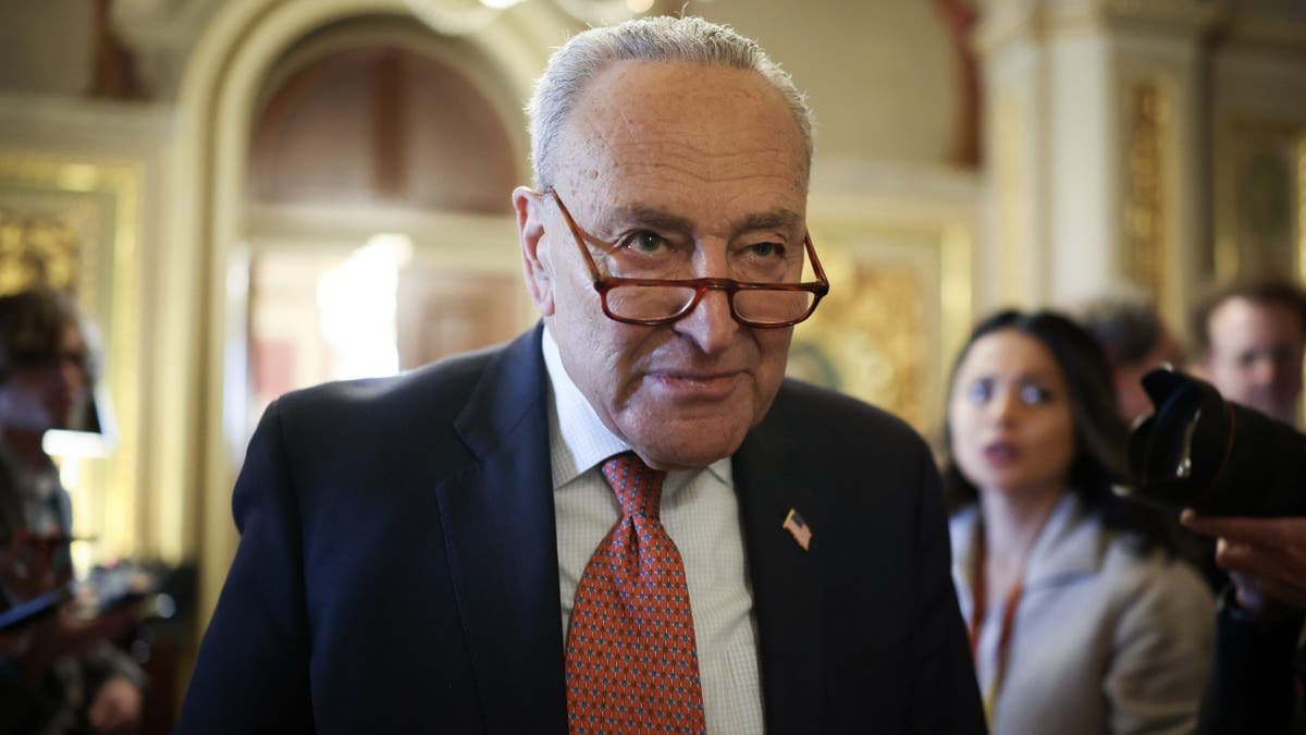 Fact Check: Schumer's 'pay the price' remark was deemed inappropriate by Roberts.