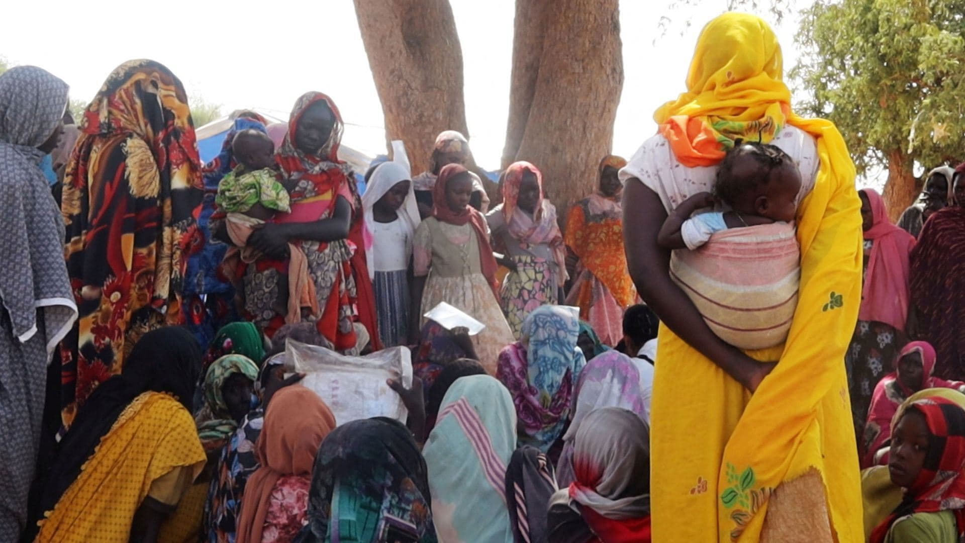 Fact Check: UN warns of a 'nightmare' if refugee crisis in Chad escalates.