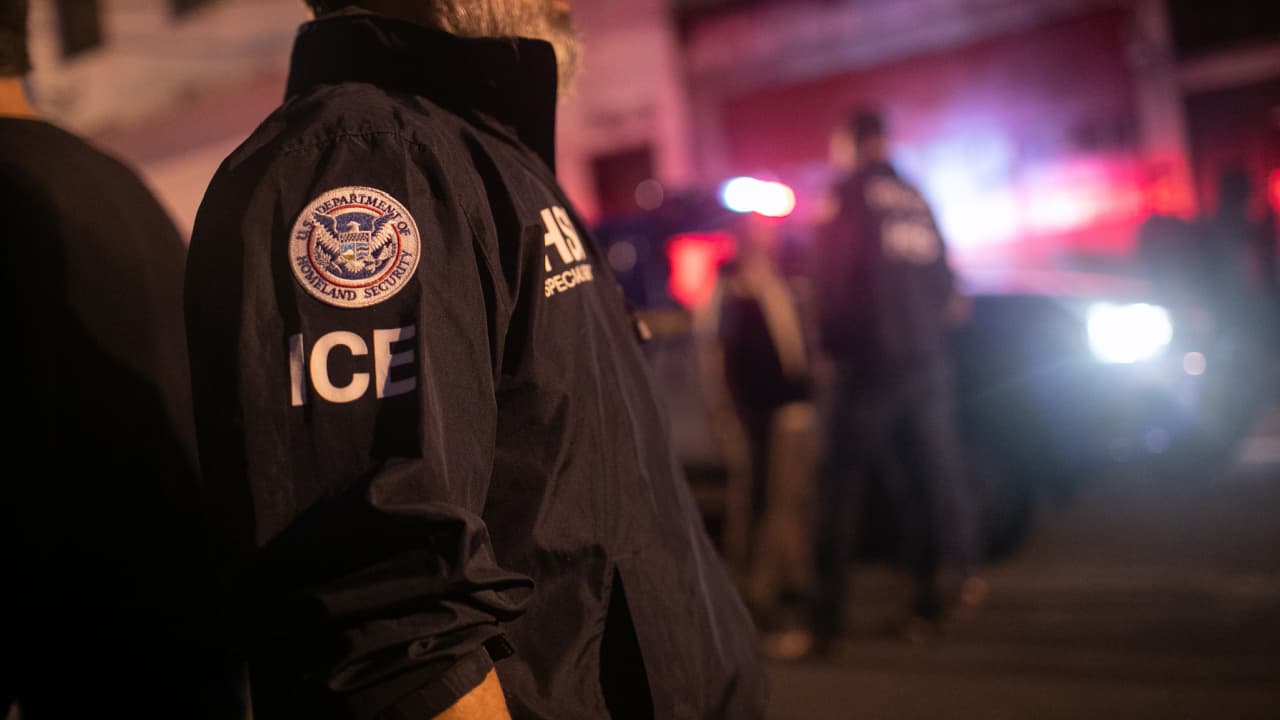 Fact Check: Kashanian has no criminal record but was still arrested by ICE.