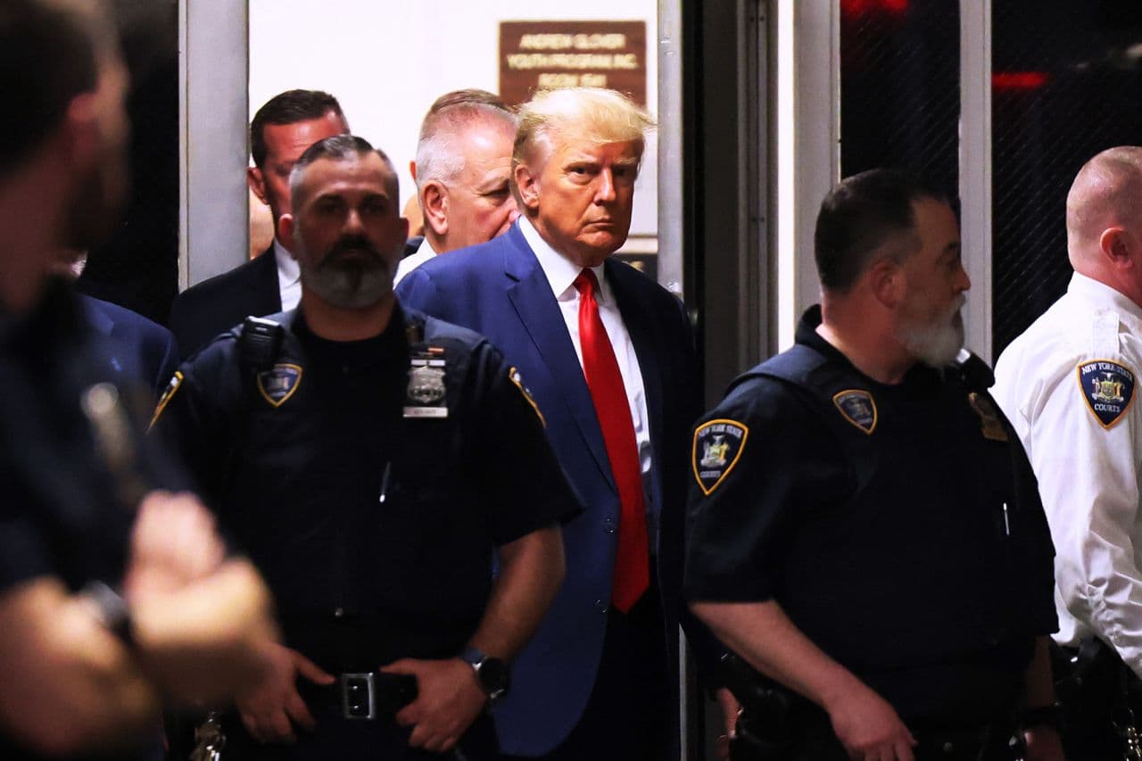 Fact Check: Donald Trump is a criminal 